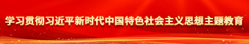 大毛片大鸡学习贯彻习近平新时代中国特色社会主义思想主题教育